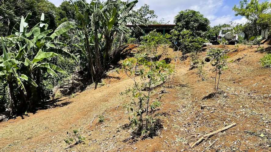 TERRENO EN VENTA EN ZARAGOZA, PALMARES