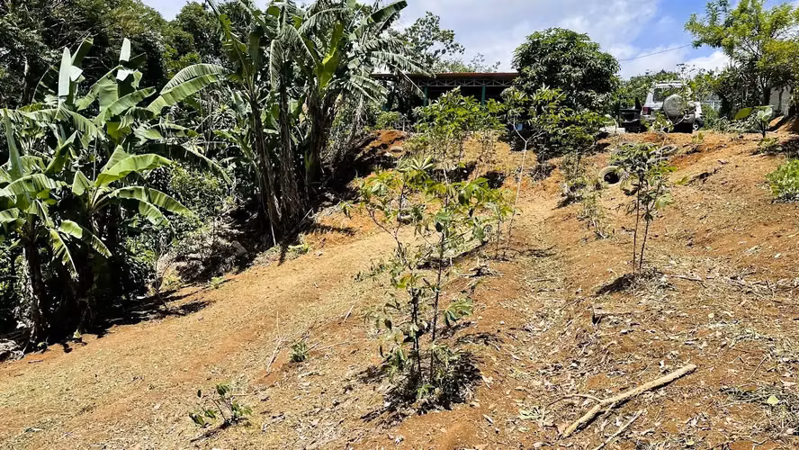 LOTE EN VENTA EN ZARAGOZA, PALMARES - Imagen 8