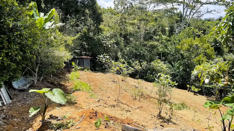 LOTE EN VENTA EN ZARAGOZA, PALMARES - Imagen 7