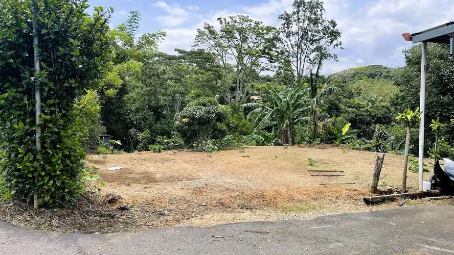 TERRENO EN VENTA EN ZARAGOZA, PALMARES
