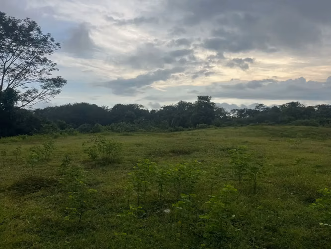 Terreno exclusivo con vista al mar de 2,7 hectáreas (6,8 acres) en Playa Hermosa Hills - Imagen 6