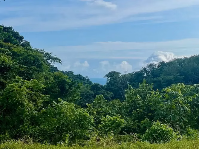 Terreno exclusivo con vista al mar de 2,7 hectáreas (6,8 acres) en Playa Hermosa Hills - Imagen 8