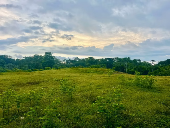 Terreno exclusivo con vista al mar de 2,7 hectáreas (6,8 acres) en Playa Hermosa Hills - Imagen 2