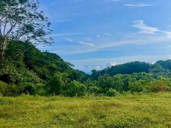 Terreno exclusivo con vista al mar de 2,7 hectáreas (6,8 acres) en Playa Hermosa Hills - Imagen 7