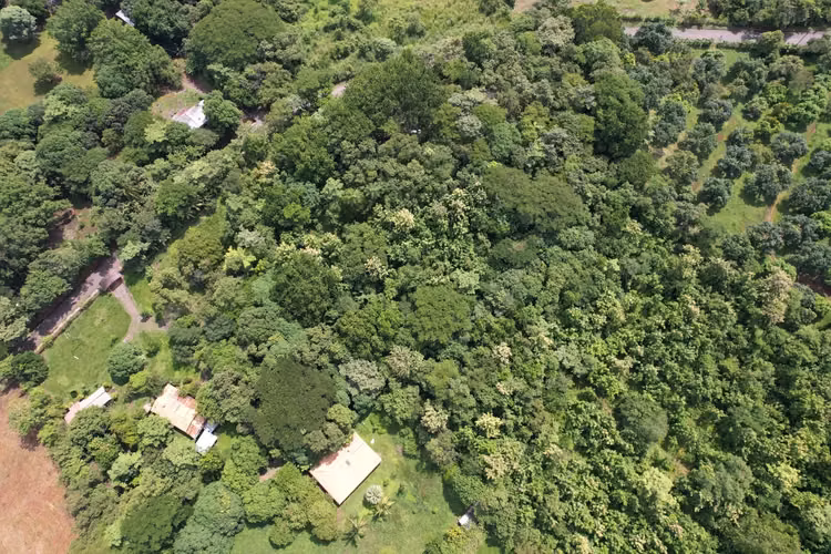 Finca en venta en Orotina - Imagen 11