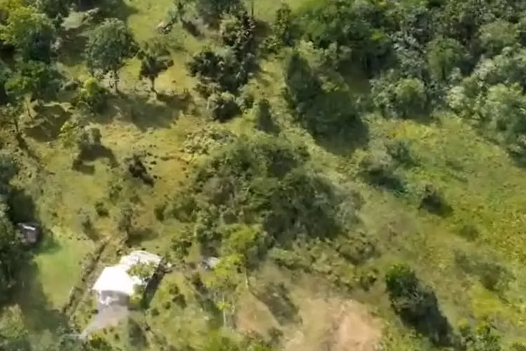 En Venta: Guápiles, Limón: Amplia Finca de 6.2 Hectáreas - Imagen 5