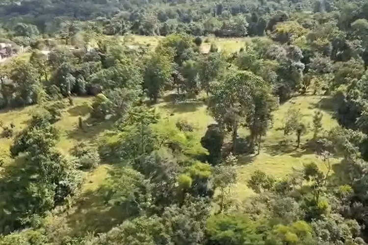 En Venta: Guápiles, Limón: Amplia Finca de 6.2 Hectáreas - Imagen 11