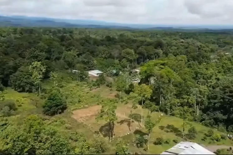 En Venta: Guápiles, Limón: Amplia Finca de 6.2 Hectáreas - Imagen 7