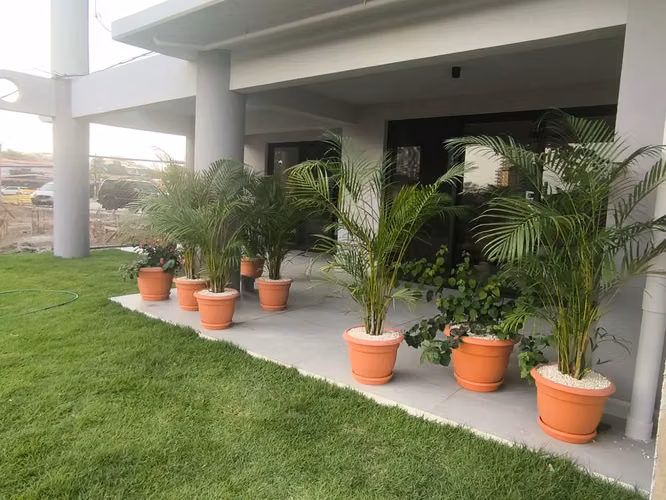 “La Perla – Condominios de lujo y residencias tipo Ático” - Imagen 14
