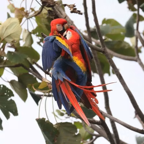 ¡Tu pedacito de paraíso en el Pacífico Central de Costa Rica! - Imagen 10