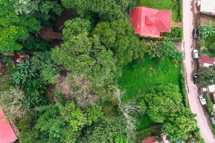 ¡Tu pedacito de paraíso en el Pacífico Central de Costa Rica! - Imagen 2
