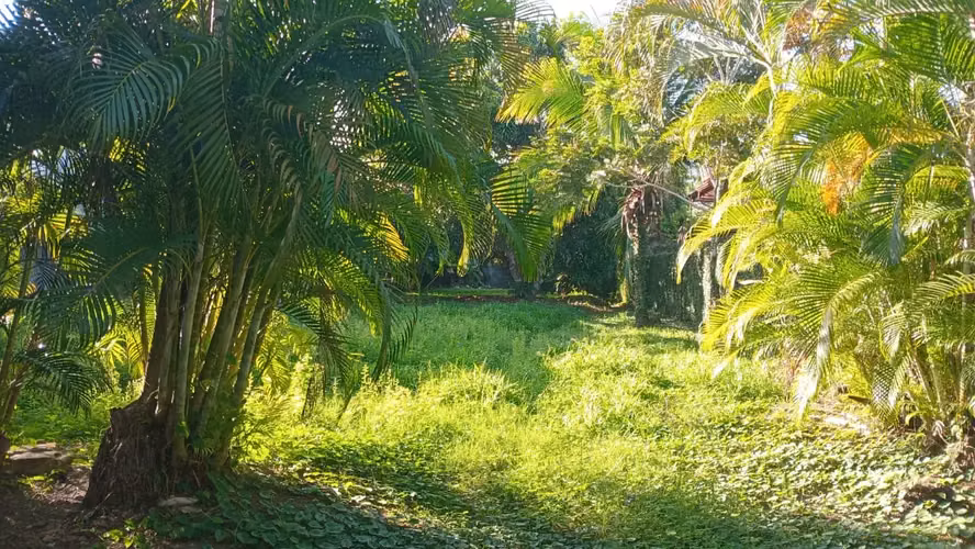 ¡Venta! ¡Ubicación de ensueño en Jacó! Lote de 931 m² esperándote. - Imagen 13