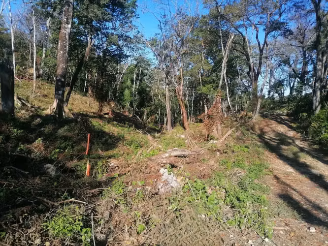 Terreno sereno y edificable en la selva de Santa Teresa: la naturaleza a tu alcance - Imagen 11