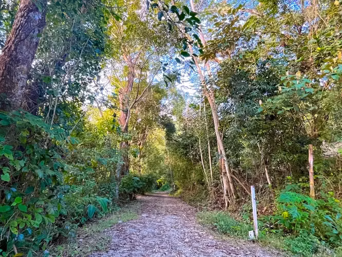 ¡Descubra una propiedad comercial y residencial excepcional a pasos del océano en Mal País, Costa Rica! - Imagen 9
