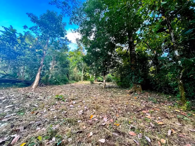 ¡Descubra una propiedad comercial y residencial excepcional a pasos del océano en Mal País, Costa Rica! - Imagen 2