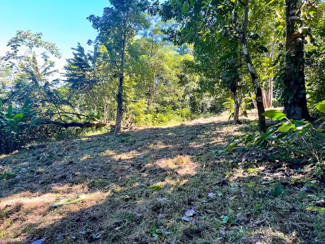 ¡Descubra una propiedad comercial y residencial excepcional a pasos del océano en Mal País, Costa Rica! - Imagen 3