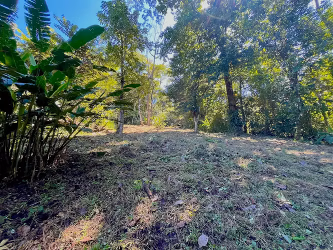 ¡Descubra una propiedad comercial y residencial excepcional a pasos del océano en Mal País, Costa Rica! - Imagen 4