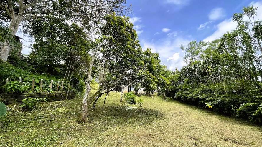 LOTE CON CASA EN VENTA EN SAN RAMÓN, ALAJUELA