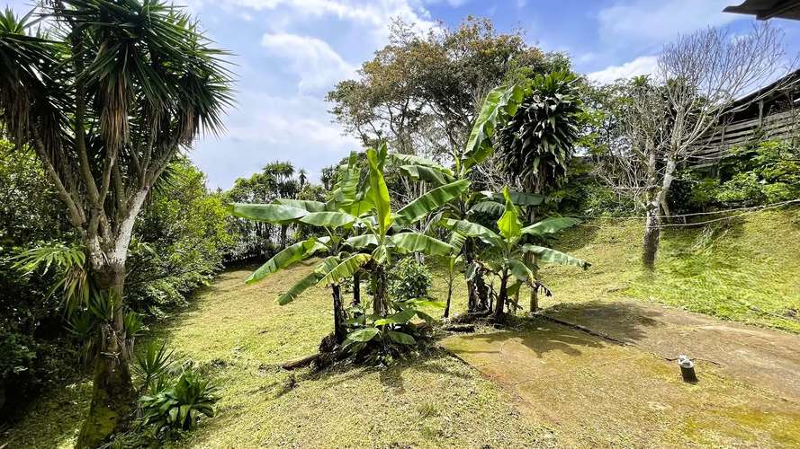 LOTE CON CASA EN VENTA EN SAN RAMÓN, ALAJUELA