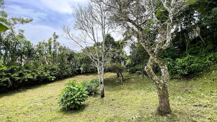 LOT WITH HOUSE FOR SALE IN SAN RAMÓN, ALAJUELA