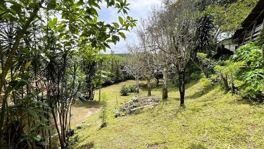 LOTE CON CASA EN VENTA EN SAN RAMÓN, ALAJUELA