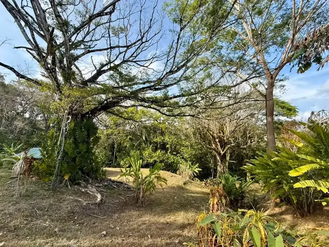 Terreno selvático de 1.494 m² en Delicias con espacio para almacenamiento en contenedores y potencial para construir una vivienda | A 15 minutos de Playa Carmen - Imagen 2