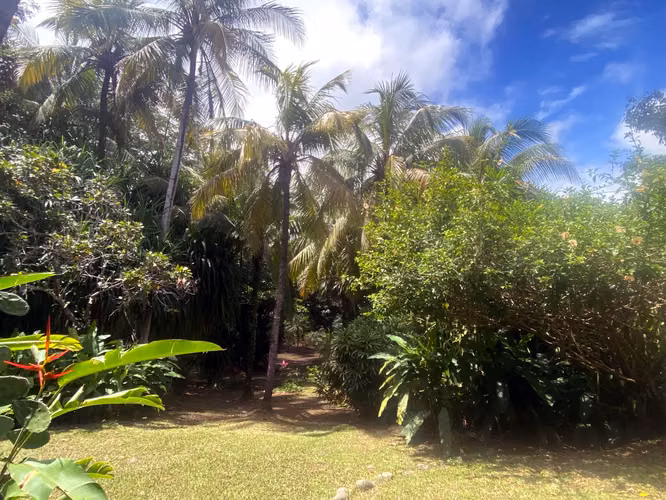 Increíble propiedad con vista al mar y potencial de desarrollo excepcional, casa estilo boho, cabaña rústica y piscina en Delicias, cerca de Montezuma. - Imagen 12