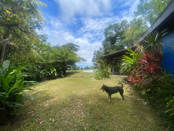 Increíble propiedad con vista al mar y potencial de desarrollo excepcional, casa estilo boho, cabaña rústica y piscina en Delicias, cerca de Montezuma. - Imagen 10