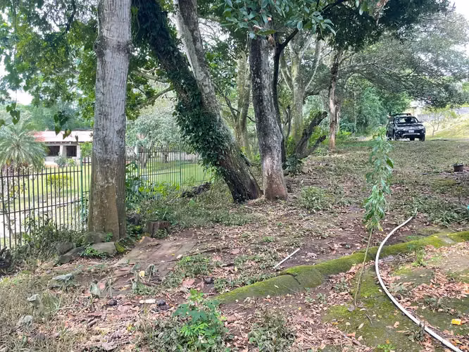 En Venta: Quinta en Turrucares Alajuela - Imagen 3