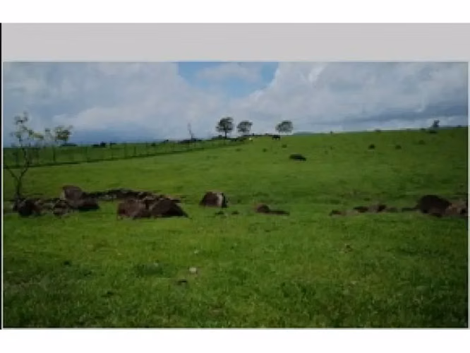 Lote plano en Turrucares - Imagen 5