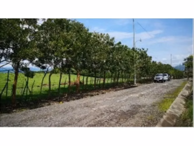 Lote plano en Turrucares - Imagen 4