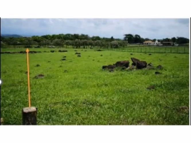 Lote plano en Turrucares - Imagen 6