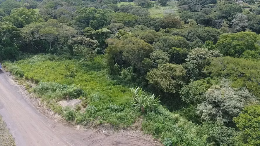 Amplio lote de 10,288 m2 en La Garita, Alajuela - Imagen 5