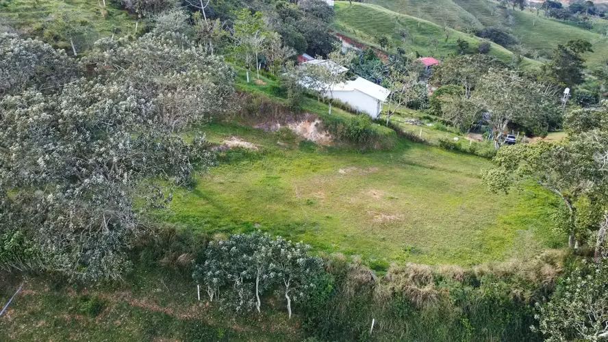 Amplio terreno de 2500 m² en Santiago, San Ramón, Costa Rica. - Imagen 5