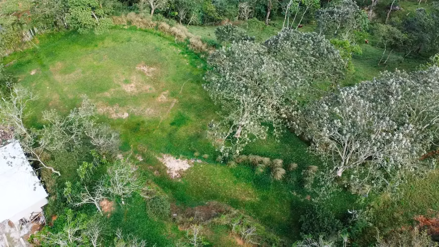 Amplio terreno de 2500 m² en Santiago, San Ramón, Costa Rica. - Imagen 4