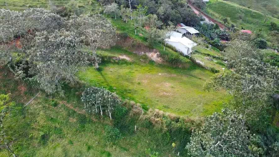 Amplio terreno de 2500 m² en Santiago, San Ramón, Costa Rica. - Imagen 3