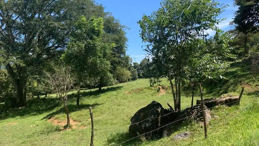 Amplia Quinta de 2,77 Hectáreas en el Escénico Turrúcares, Alajuela, Costa Rica - Imagen 8