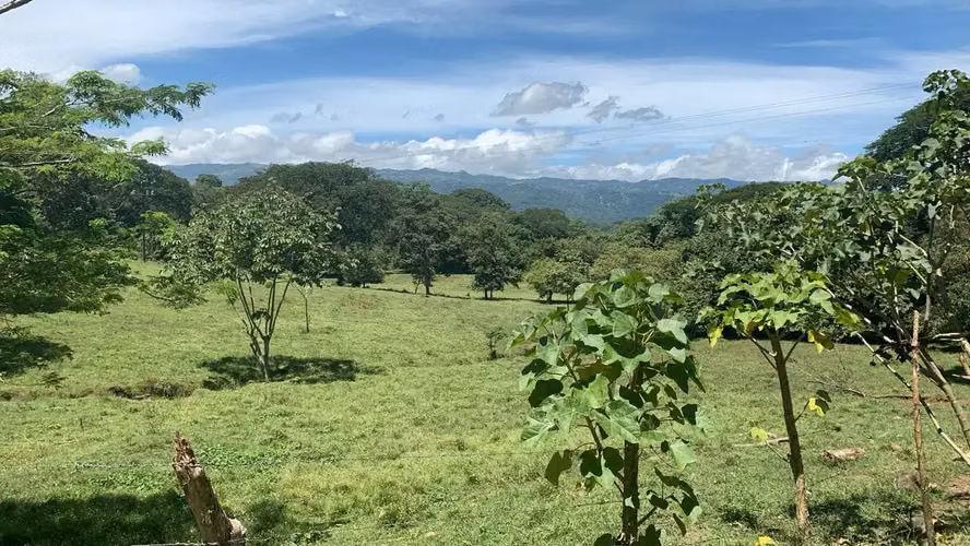 Amplia Quinta de 2,77 Hectáreas en el Escénico Turrúcares, Alajuela, Costa Rica - Imagen 2