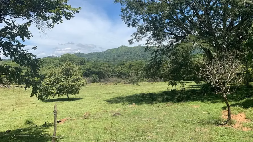 Amplia Quinta de 2,77 Hectáreas en el Escénico Turrúcares, Alajuela, Costa Rica - Imagen 6