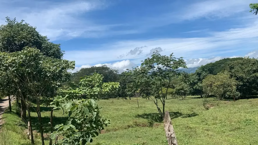 Amplia Quinta de 2,77 Hectáreas en el Escénico Turrúcares, Alajuela, Costa Rica - Imagen 5