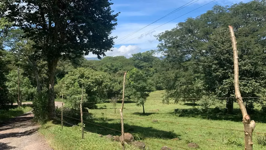 Amplia Quinta de 2,77 Hectáreas en el Escénico Turrúcares, Alajuela, Costa Rica - Imagen 4