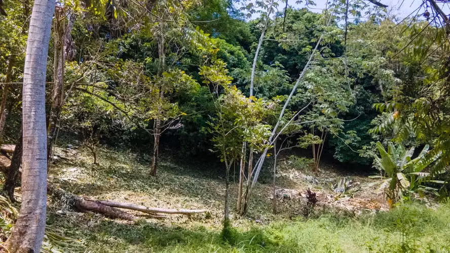 Hermoso lote de terreno en Playa Jaco - Imagen 5
