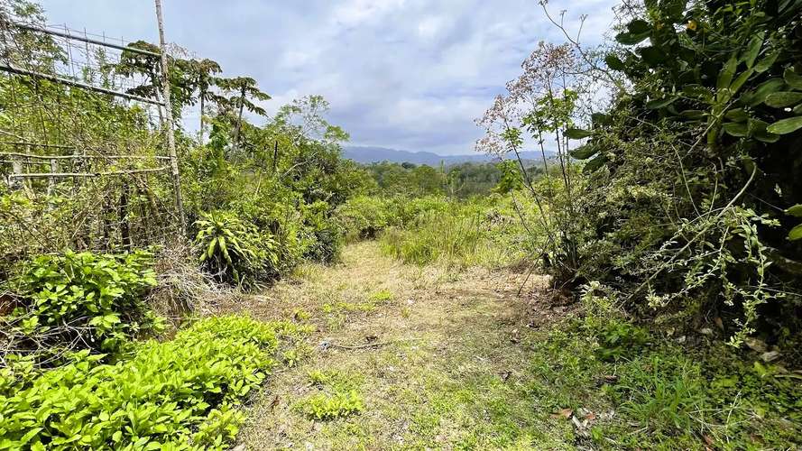 TERRENO EN VENTA EN SAN ISIDRO, SAN RAMÓN - Imagen 16
