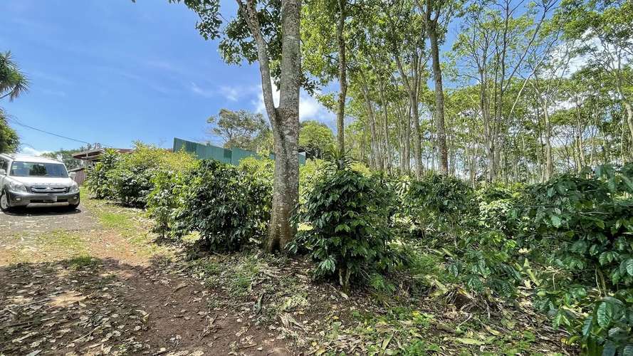TERRENO EN VENTA EN SAN ISIDRO, SAN RAMÓN - Imagen 9