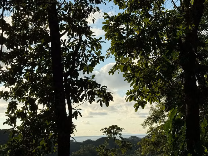 Lote con Vista al Mar y a la Montaña con Permisos Aprobados - Imagen 8