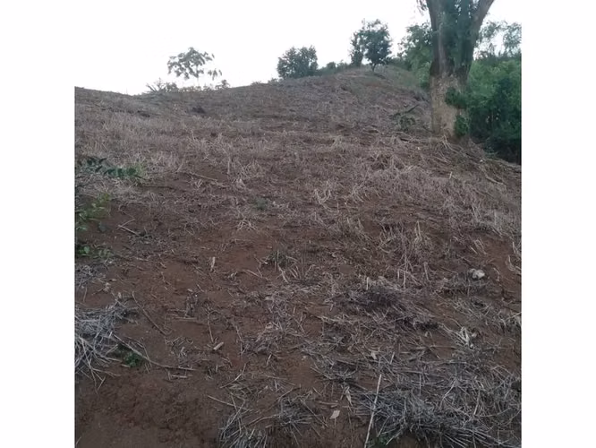Hermoso terreno en Bijagual - Imagen 4