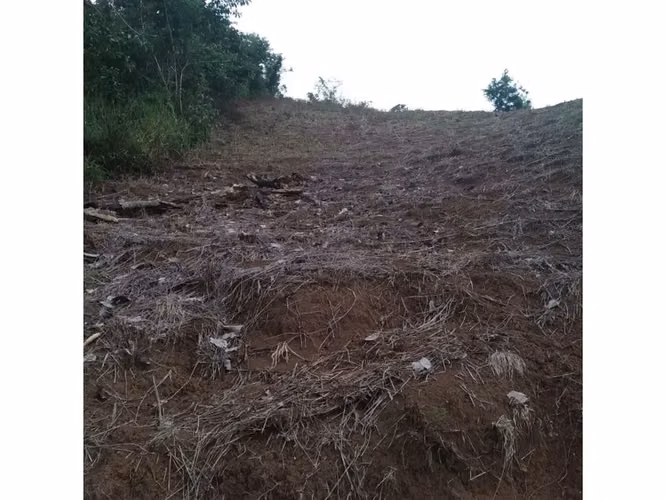 Hermoso terreno en Bijagual - Imagen 6