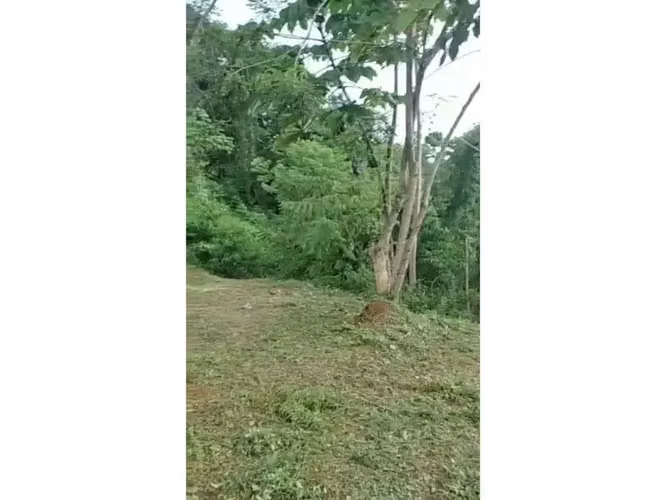 Hermoso terreno en Bijagual - Imagen 7