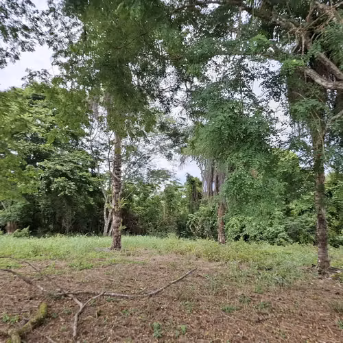 Terreno Garabito: Lote de 4 Acres en Comunidad Eco Desarrollo - Imagen 7