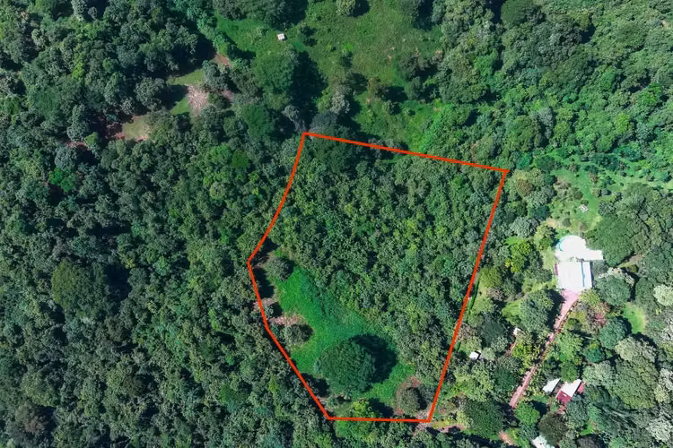 Terreno Garabito: Lote de 4 Acres en Comunidad Eco Desarrollo - Imagen 4